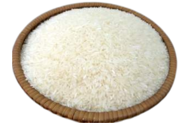 Rice